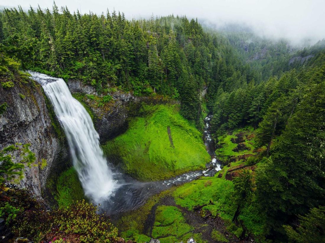 A waterfall dropping through mossy green rainforest