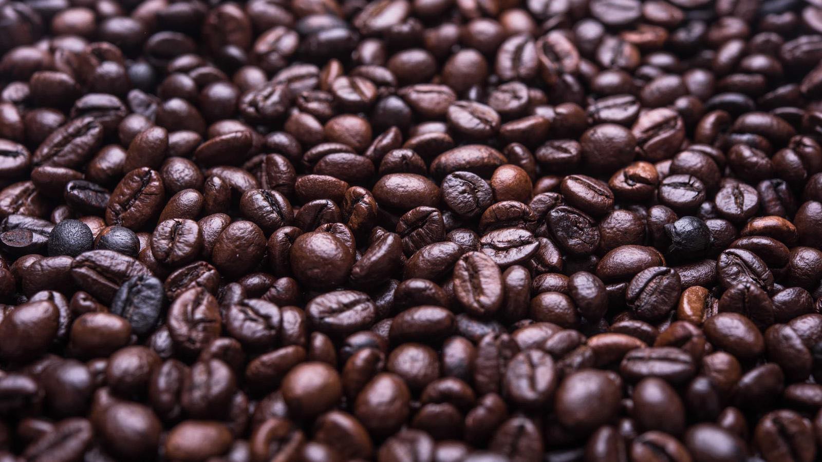 Freshly roasted coffee beans filling the frame